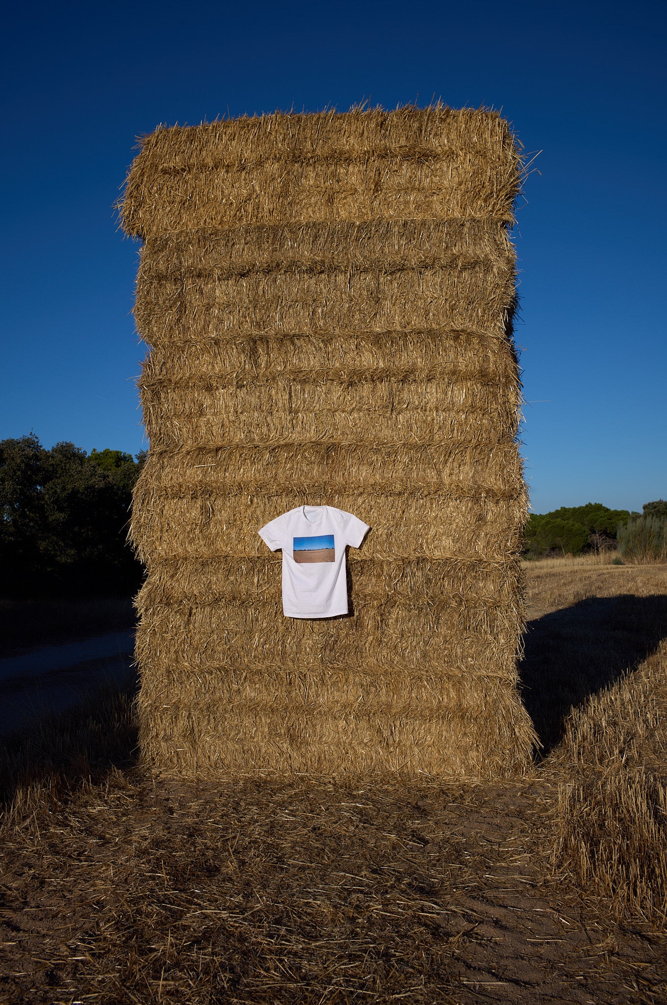 Mediterranean Forest Unisex T-Shirt